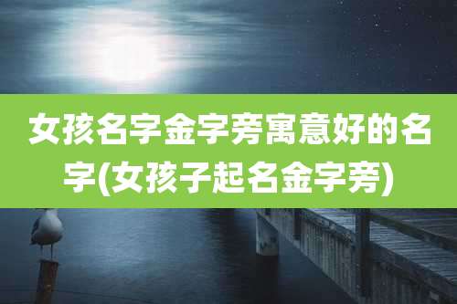 女孩名字金字旁寓意好的名字(女孩子起名金字旁)