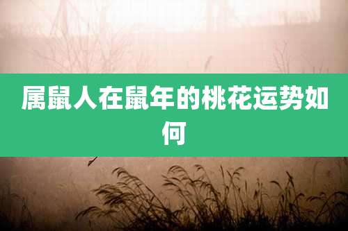 属鼠人在鼠年的桃花运势如何