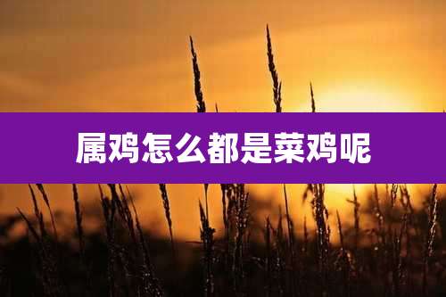 属鸡怎么都是菜鸡呢