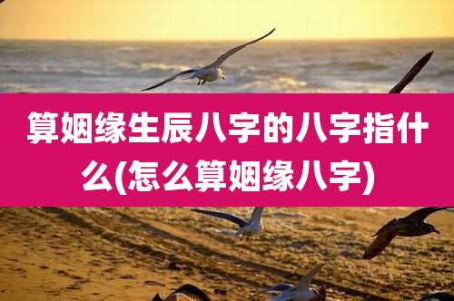 算姻缘生辰八字的八字指什么(怎么算姻缘八字)