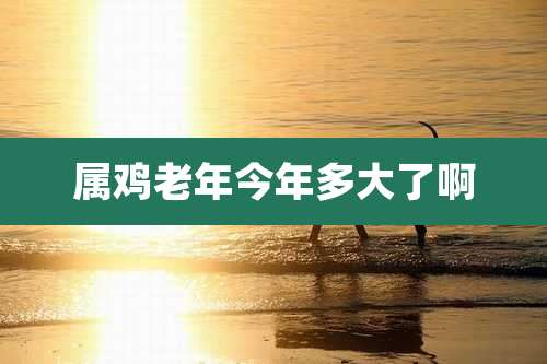 属鸡老年今年多大了啊