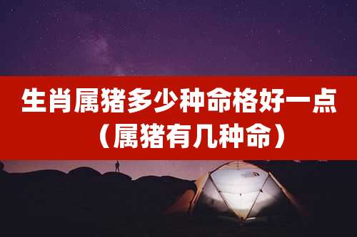 生肖属猪多少种命格好一点（属猪有几种命）