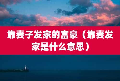 靠妻子发家的富豪（靠妻发家是什么意思）