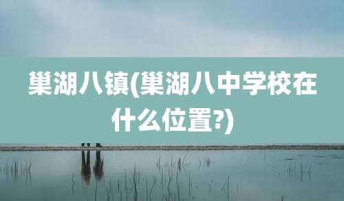 巢湖八镇(巢湖八中学校在什么位置?)