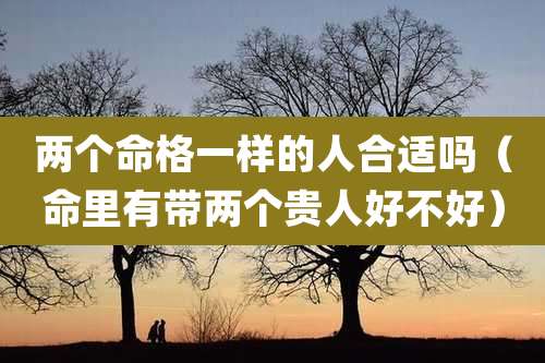 两个命格一样的人合适吗（命里有带两个贵人好不好）