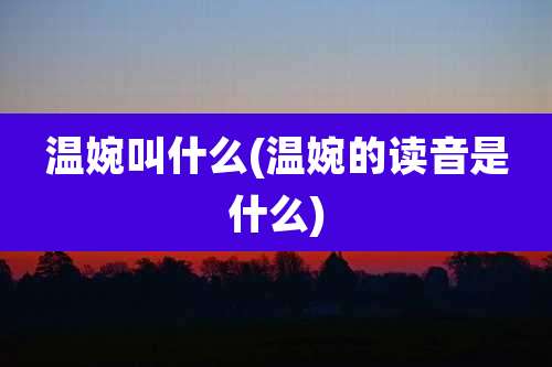 温婉叫什么(温婉的读音是什么)