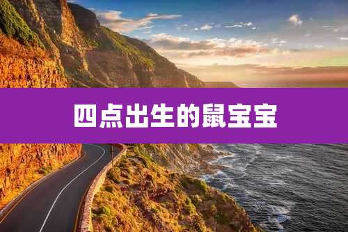 四点出生的鼠宝宝