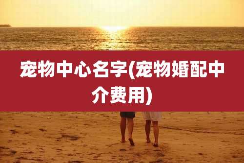 宠物中心名字(宠物婚配中介费用)