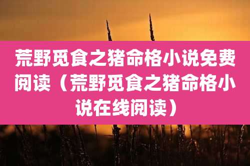 荒野觅食之猪命格小说免费阅读（荒野觅食之猪命格小说在线阅读）