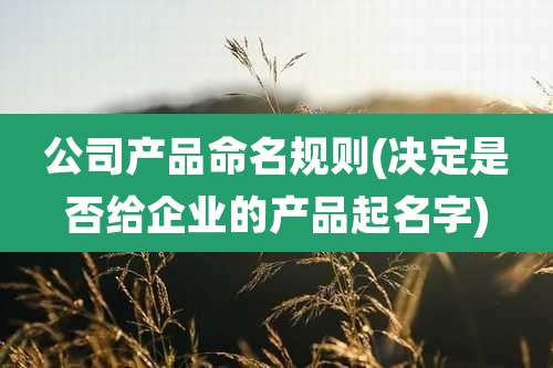公司产品命名规则(决定是否给企业的产品起名字)