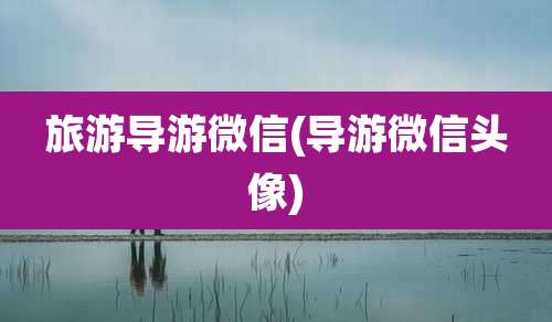 旅游导游微信(导游微信头像)