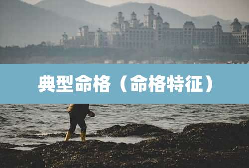 典型命格（命格特征）