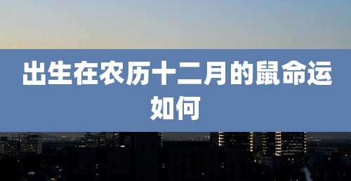出生在农历十二月的鼠命运如何