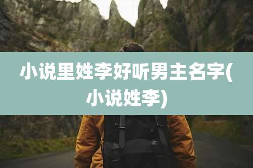 小说里姓李好听男主名字(小说姓李)