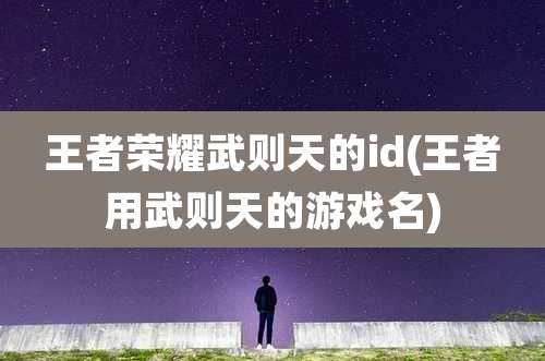王者荣耀武则天的id(王者用武则天的游戏名)