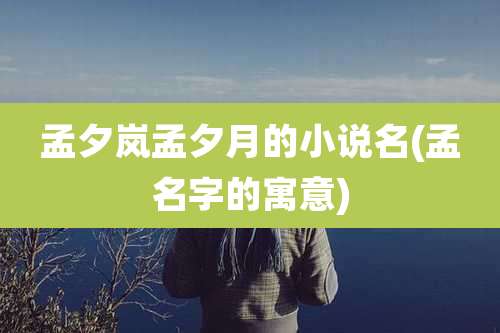 孟夕岚孟夕月的小说名(孟名字的寓意)