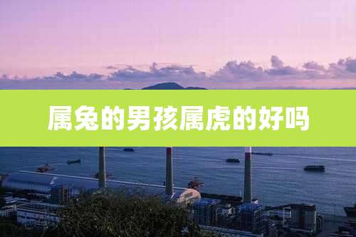 属兔的男孩属虎的好吗