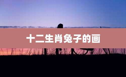 十二生肖兔子的画