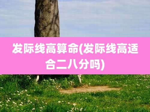 发际线高算命(发际线高适合二八分吗)