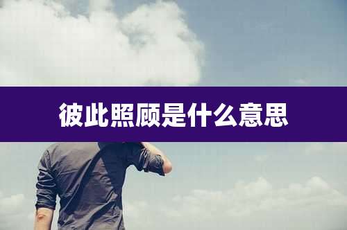 彼此照顾是什么意思