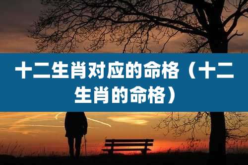 十二生肖对应的命格（十二生肖的命格）