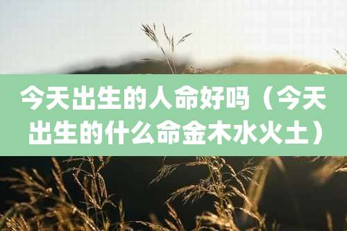今天出生的人命好吗（今天出生的什么命金木水火土）