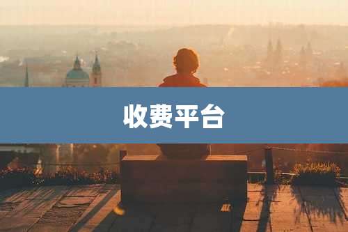 收费平台