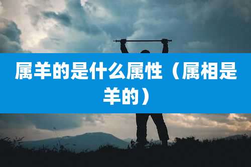 属羊的是什么属性（属相是羊的）