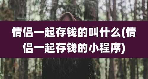 情侣一起存钱的叫什么(情侣一起存钱的小程序)