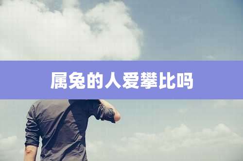 属兔的人爱攀比吗