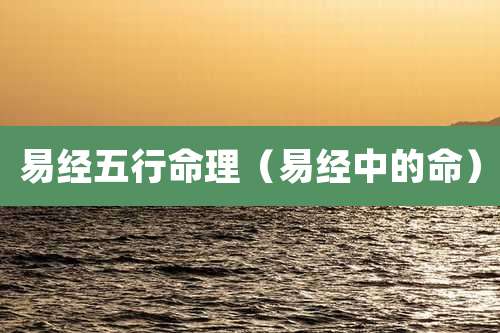 易经五行命理（易经中的命）