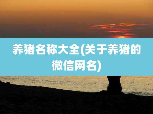 养猪名称大全(关于养猪的微信网名)