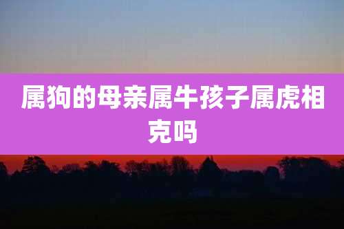 属狗的母亲属牛孩子属虎相克吗