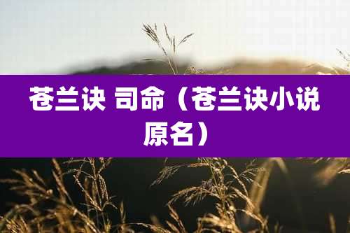 苍兰诀 司命（苍兰诀小说原名）