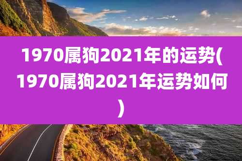 1970属狗2021年的运势(1970属狗2021年运势如何)