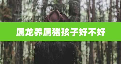 属龙养属猪孩子好不好