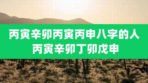 丙寅辛卯丙寅丙申八字的人 丙寅辛卯丁卯戊申