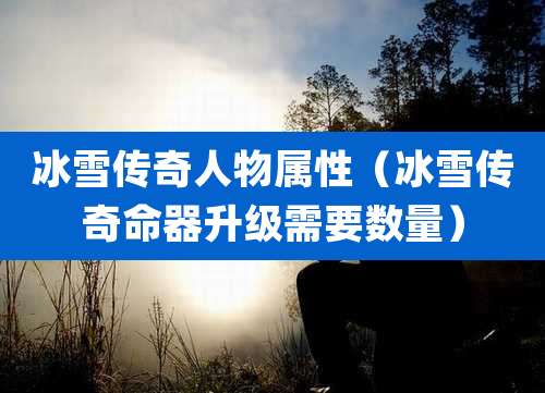 冰雪传奇人物属性（冰雪传奇命器升级需要数量）