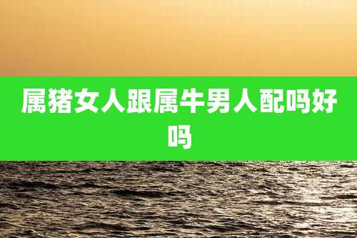 属猪女人跟属牛男人配吗好吗