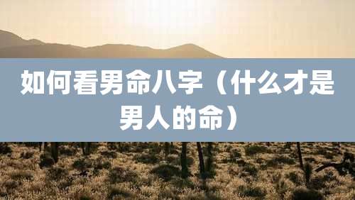 如何看男命八字（什么才是男人的命）