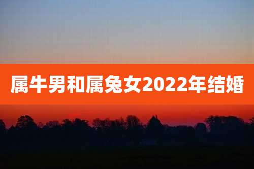 属牛男和属兔女2022年结婚