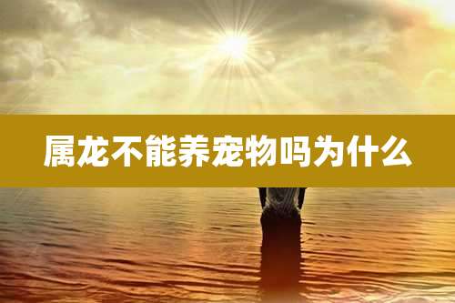 属龙不能养宠物吗为什么