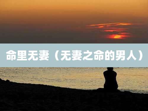 命里无妻（无妻之命的男人）