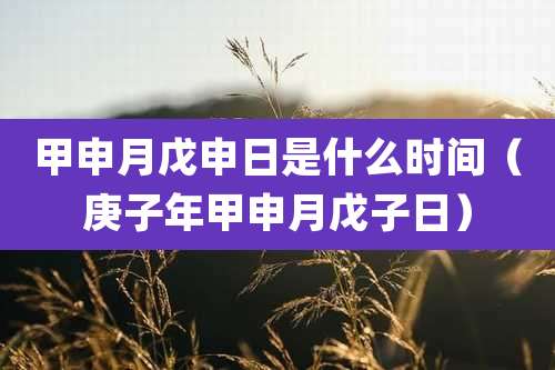 甲申月戊申日是什么时间（庚子年甲申月戊子日）