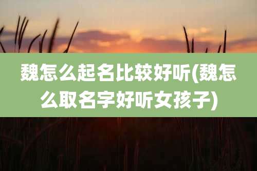魏怎么起名比较好听(魏怎么取名字好听女孩子)