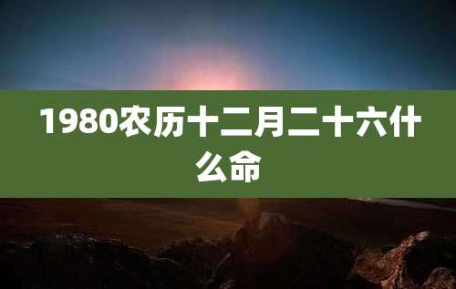 1980农历十二月二十六什么命