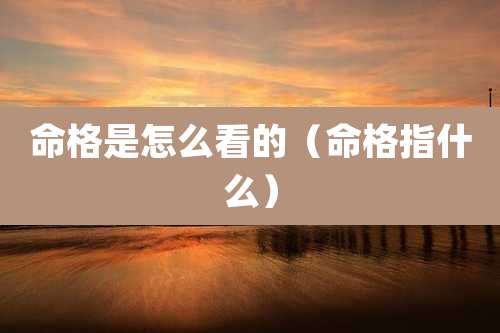 命格是怎么看的（命格指什么）