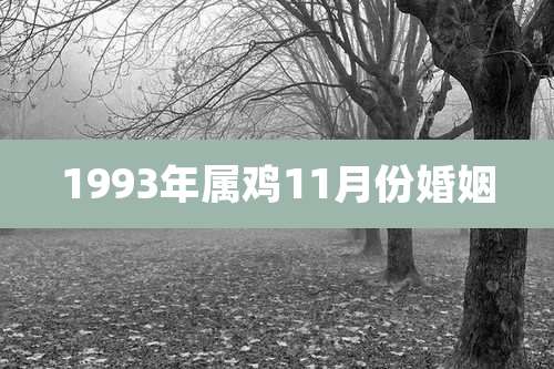 1993年属鸡11月份婚姻
