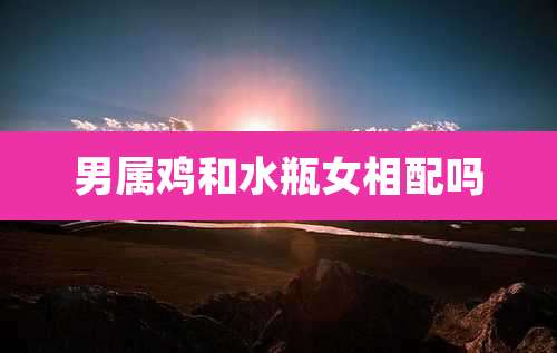 男属鸡和水瓶女相配吗