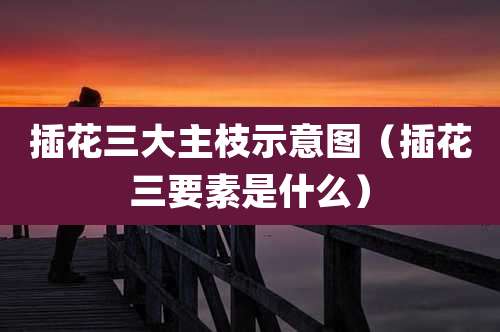 插花三大主枝示意图（插花三要素是什么）